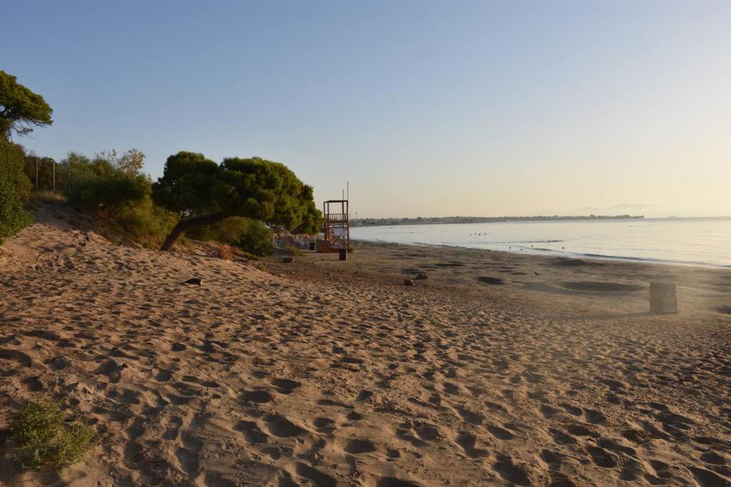 Seashell Apartment -Near The Beach Артемида Екстериор снимка